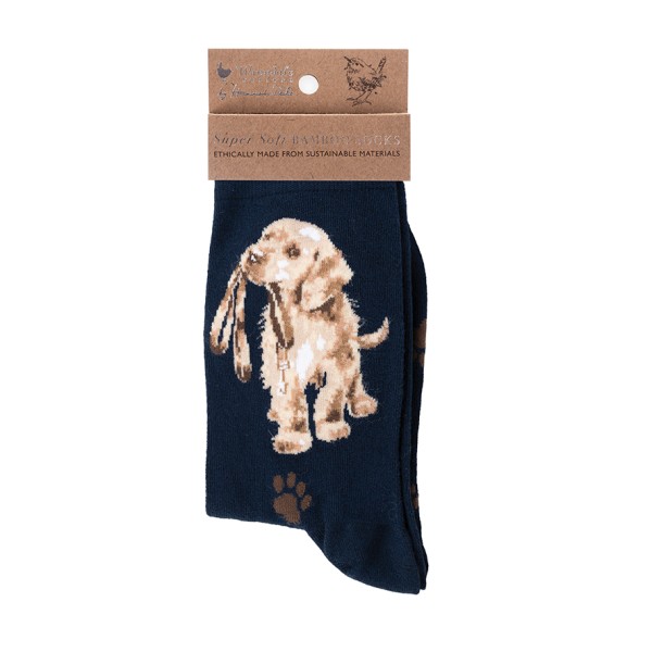 Wrendale Frauensocken SOCK020 "Hopeful" - Labrador
