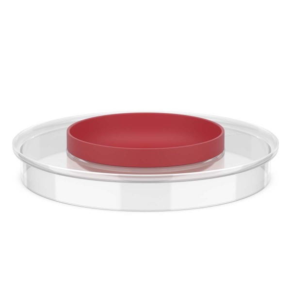 Mepal Chef it 102308576900 Spritzschutzdeckel für Rührschüssel 3L - Coral