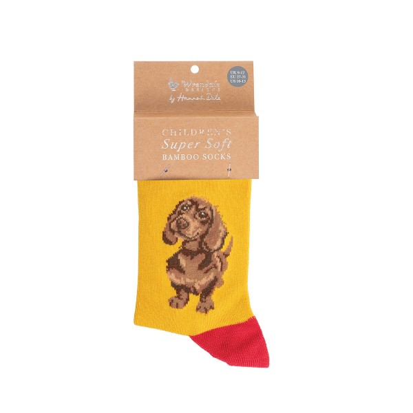 Wrendale Kindersocken SOCKC008 "Little One" - Hund - Größe 27-31