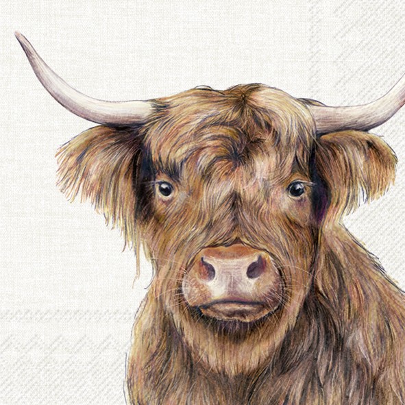 Ihr FARM HIGHLAND CATTLE cream L1048260 Lunch-Servietten