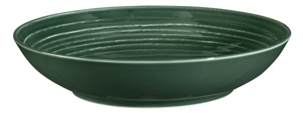 Seltmann Terra Moosgrün Suppenteller rund 21 cm