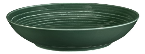 Seltmann Terra Moosgrün Suppenteller rund 21 cm
