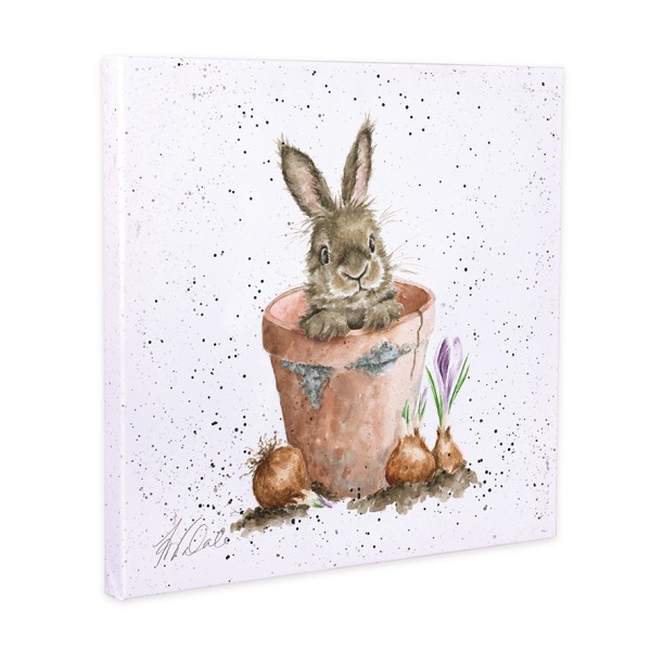 Wrendale Leinwand-Kollektion CANS-CS186 "The Flower Pot" - Kaninchen - 20cm