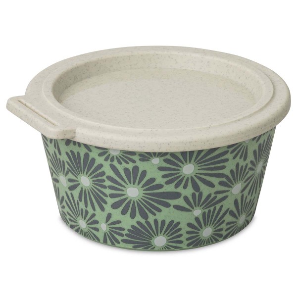 Koziol Blomster 8173703 Schale 700ml mit Deckel, Daisy - Nature Leaf Green
