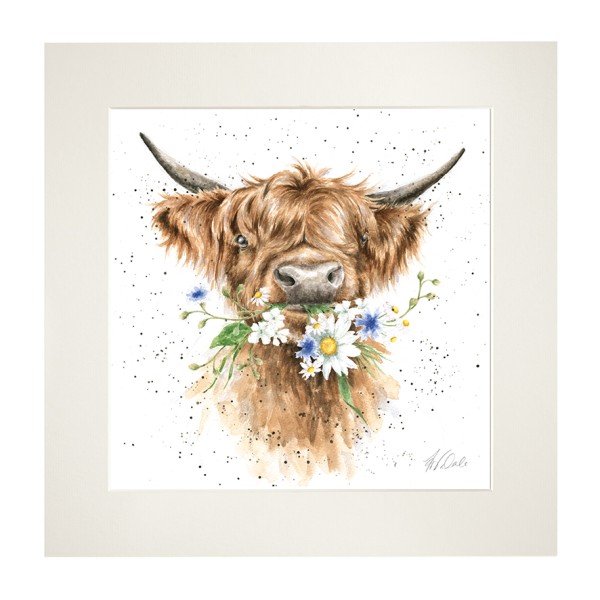 Wrendale Mounted Prints MP150 "Daisy Coo" - Hochland Rind