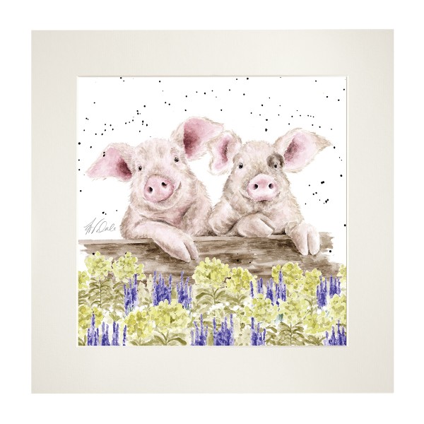 Wrendale Mounted Prints MP255 "Nosy Neigh-boars" - Schweine