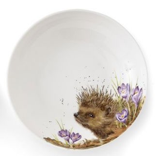 Royal Worcester Wrendale Designs Pastateller 22 cm (Igel) WNRZ4341-XS