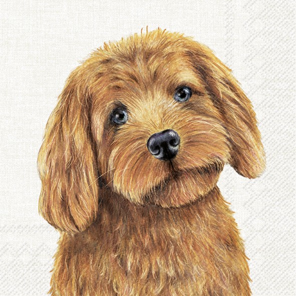 Ihr FARM DOG cream L1047560 Lunch-Servietten