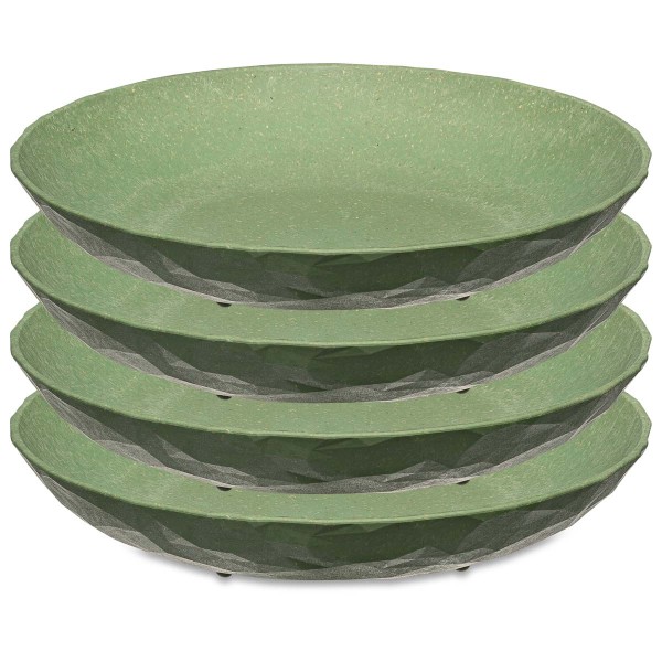 Koziol CLUB 5006703 4x Teller tief 22cm - Nature Leaf Green