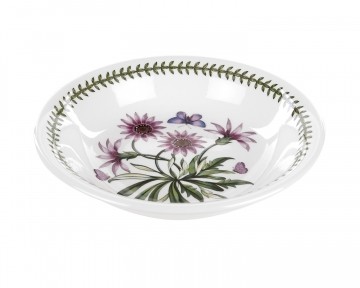 Portmeirion Botanic Garden: Gazanie Pastateller BG45740 (treasure flower) 20cm