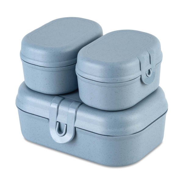 Koziol PASCAL READY MINI 7151716 Lunchbox-Set Mini - Nature Flower Blue