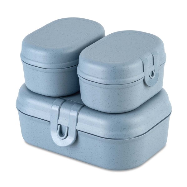 Koziol PASCAL READY MINI 7151716 Lunchbox-Set Mini - Nature Flower Blue