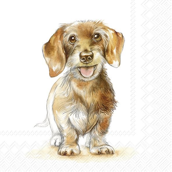 IHR L-1080800 Fritz Lunch-Servietten 3-lagig (20 Stk.) 33 x 33 cm