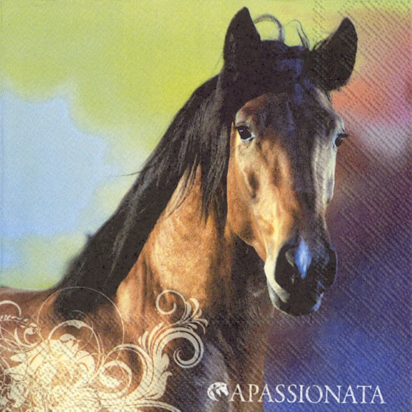 Ihr Brown Beauty L 776100 Apassionata 20 Lunch-Servietten 33 x 33 cm