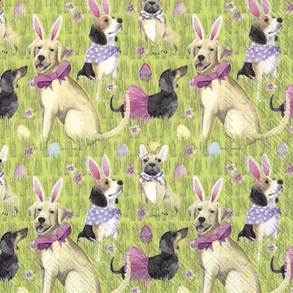 Ihr Bunny Dogs L 853700 20 Lunch-Servietten 33 x 33 cm