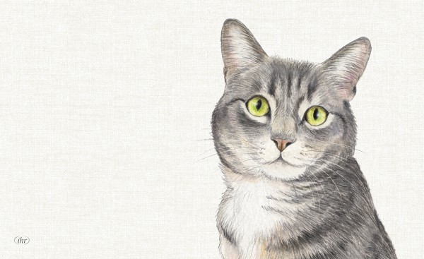 Ihr FARM CAT cream MCB1047660 Frühstücksbrettchen 23,5 x 14,5 cm