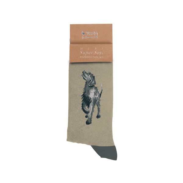 Wrendale Männersocken SOCKM003 &quot;Walkies&quot; - Labrador