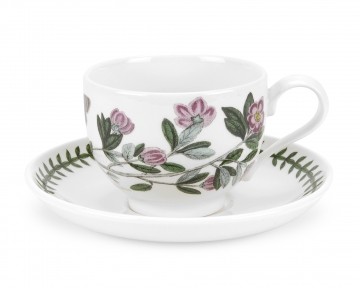 Portmeirion Botanic Garden: Rhododendron lepidotum Kaffee-/Teetasse rund m. Untere BGHQ04117