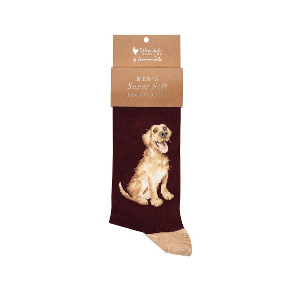 Wrendale Männersocken SOCKM011 "Good as Gold" - Labrador