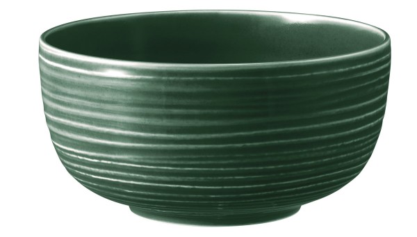 Seltmann Terra Moosgrün Foodbowl 17,5 cm