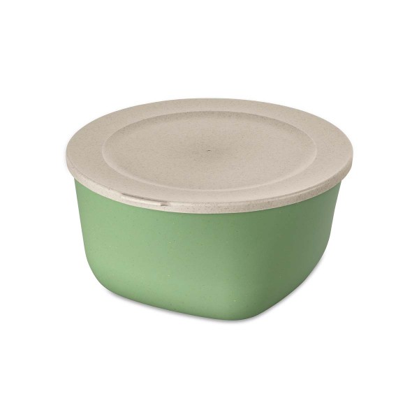 Koziol CONNECT 7872703 Box mit Deckel 4l - Nature Leaf Green