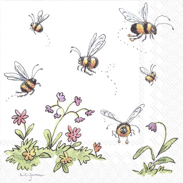 Ihr Honey Bear C 855700 20 Cocktail-Servietten 25 x 25 cm