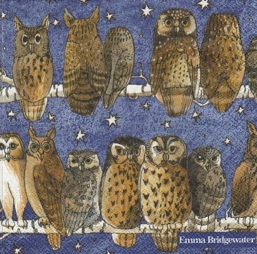 Ihr Owls Emma Bridgewater L 607300 20 Lunch-Servietten 33 x 33 cm