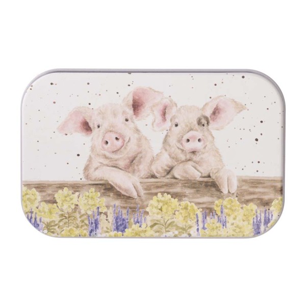Wrendale Tinware MT025 "Nosy Neighboars" - Schweine Minidose