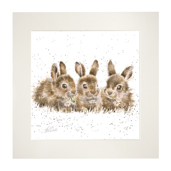 Wrendale Mounted Prints MP123 "Daisy Chain" - Baby Hasen