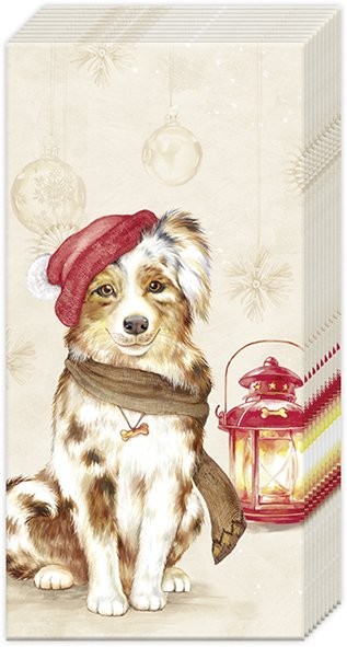 Ihr JACK cream PT1054060 Papiertaschentücher
