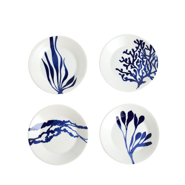Royal Doulton 1815 Pacific blue 1074379 Teller-Set 4-tlg. 16 cm (Motive gemischt)