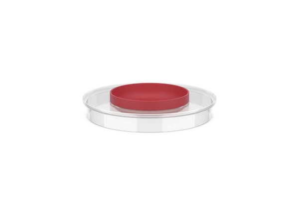 Mepal Chef it 102308576900 Spritzschutzdeckel für Rührschüssel 3L - Coral