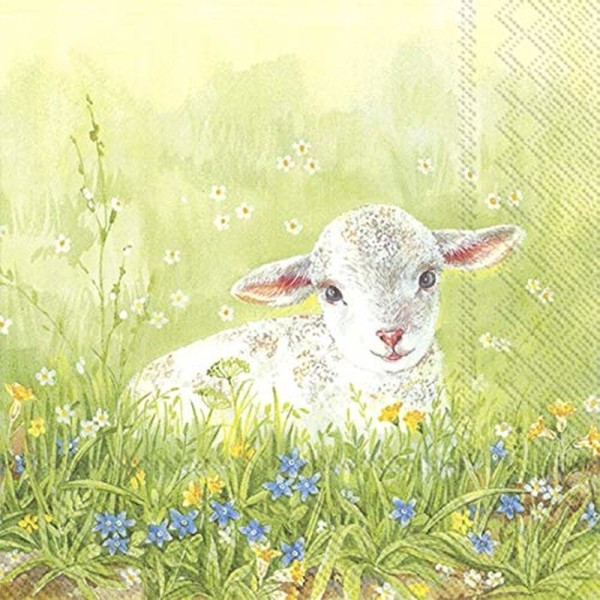 Ihr Amy L 807700 20 Lunch-Servietten 33 x 33 cm