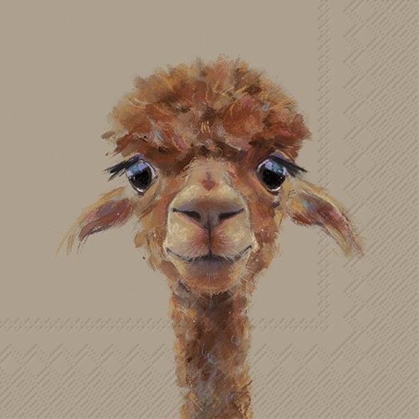 IHR Alpaca Fernando Braun L1100630 Lunch-Servietten 33 x 33 cm