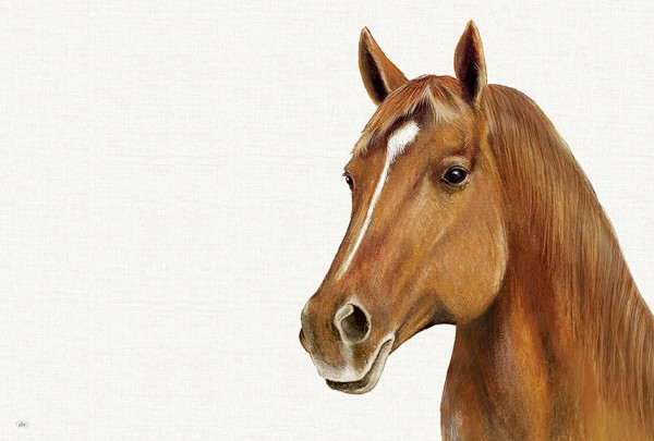 Ihr FARM HORSE cream PMP1047760 Tischset 43 x 29 cm