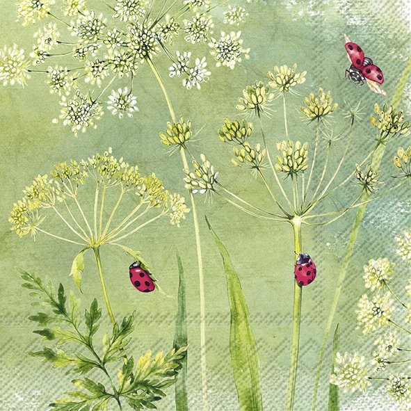 Ihr Ladybirds L 957000 20 Lunch-Servietten 33 x 33 cm