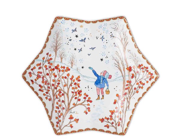 Hutschenreuther Sammelkollektion 21 Weihnachtsgaben Sternschale 24 cm