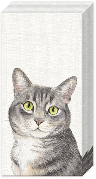 Ihr FARM CAT cream PT1047660 Papiertaschentücher 21 x 21 cm