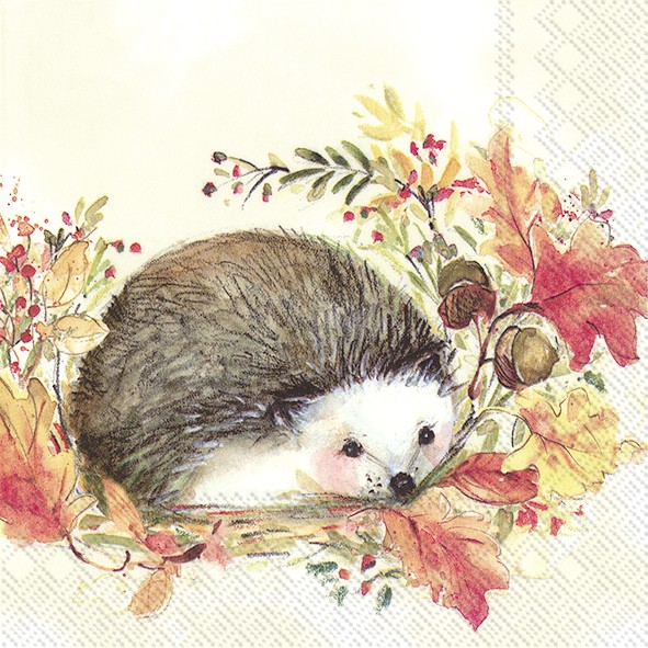 Ihr Sweet Hedgehog C 925800 20 Cocktail-Servietten 25 x 25 cm