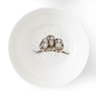 Royal Worcester Wrendale Designs WNB4078-XS Bowl 15,5 cm (Eulen)