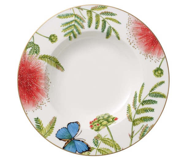 Villeroy &amp; Boch Amazonia 1035142702 Suppenteller rund 25cm