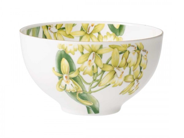 Villeroy &amp; Boch Amazonia 1035141906 Bol 0,71l - 13 cm