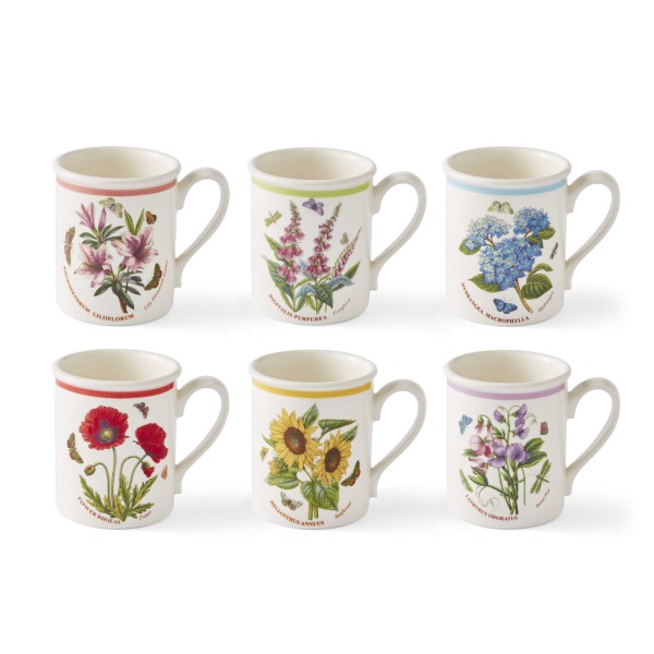 Portmeirion Botanic Garden Meadow BGM48700 Frühstücksbecher 0,26 l, 6er Set sortiert