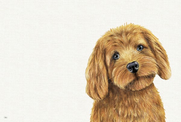 Ihr FARM DOG cream PMP1047560 Tischset 43 x 29 cm