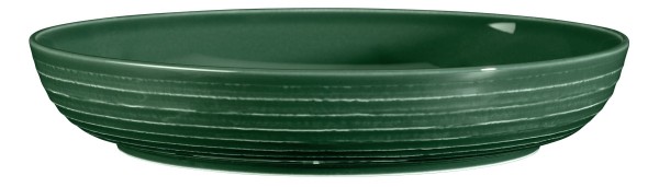 Seltmann Terra Moosgrün Foodbowl 28 cm