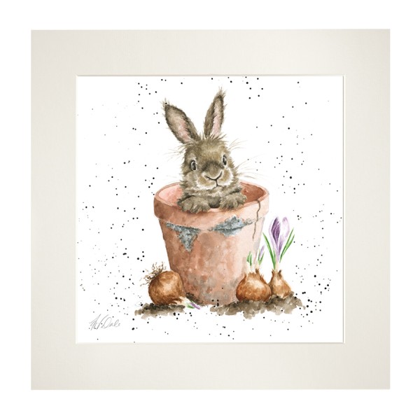 Wrendale Mounted Prints MP186 "The Flower Pot" - Kaninchen