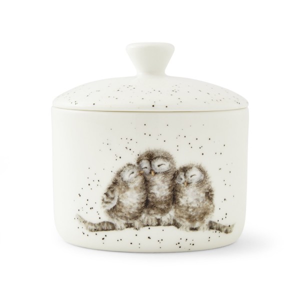 Royal Worcester Wrendale Designs WN4387-XL kleine Vorratsdose mit Deckel (Eulen) 9,5 cm