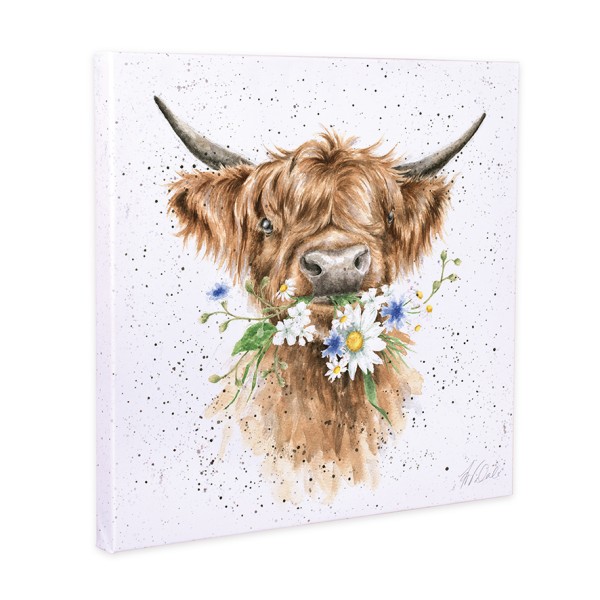 Wrendale Leinwand-Kollektion CANS-CS150 "Daisy Coo" - Highland Kuh - 20cm