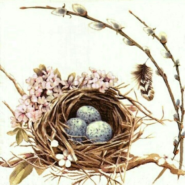 Ihr Bird`s Nest with Eggs L 571200 20 Lunch-Servietten 33 x 33 cm