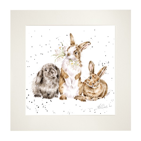 Wrendale Mounted Prints MP262 "All Ears" - Kaninchen